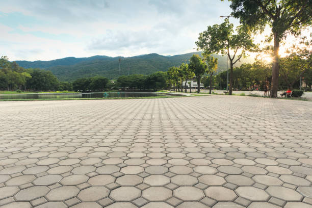 Best Driveway Pavers Near Me  in Trenton, NJ